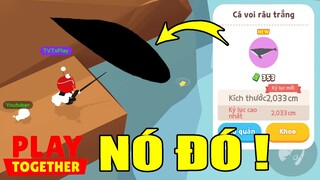 Hành Trình Săn "Cá Voi Râu Trắng", Phút 90 TVT May Mắn Hốt Luôn Siêu Phẩm | Play Together