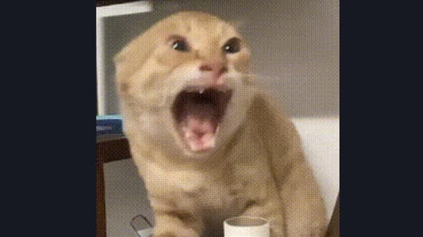 La! La! La! La!