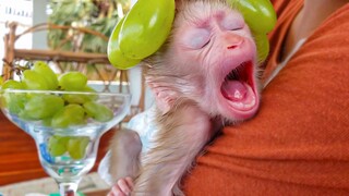 Refreshing & joyfu!! Unbelievable Tiny Luca is really happy when Mom gently massage using the grapes