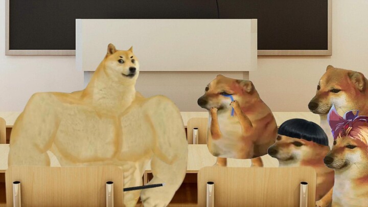 我再也不打游戏了