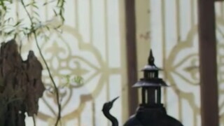 @ 11-20 •คั.ม-ภี-ร่.ว.ม-ฝั.น•