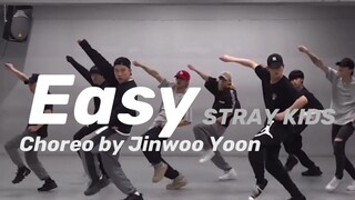 STRAY KIDS《Easy》编舞师版同屏对比