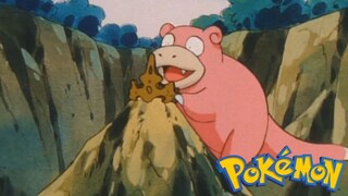 Pokémon Tập 262: Yadoking! Dấu Hiệu Của Vương Giả! (Thuyết Minh)