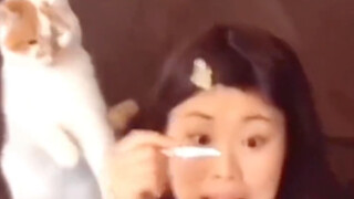 A ten-jin cat, nine jin of rebellious spirit