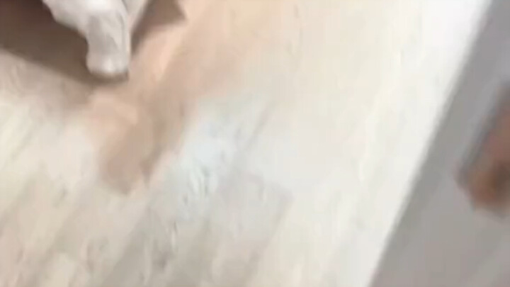 Hình vừa về, film chưa bóc ra.