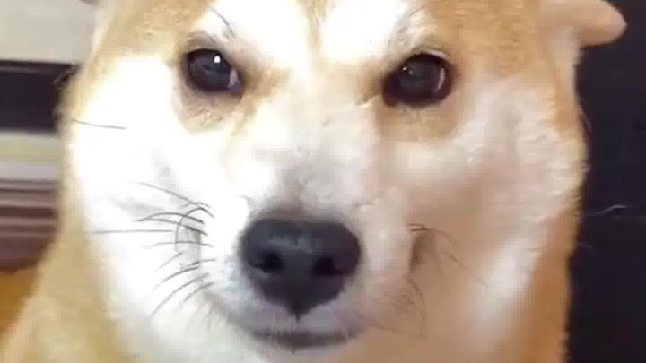 Đáp ứng tôi đi