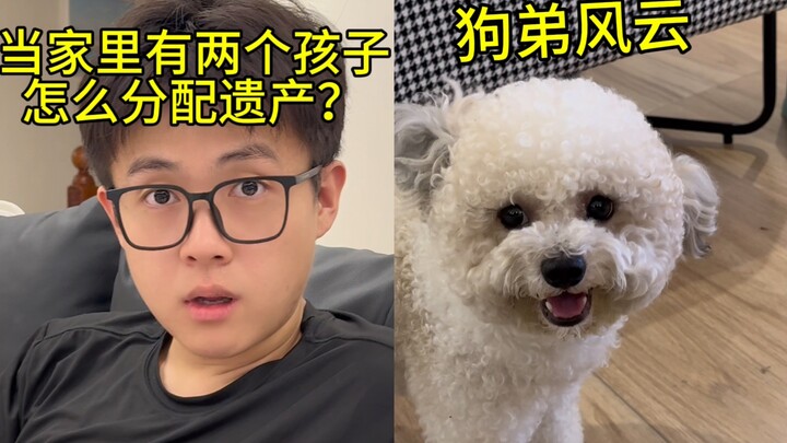 ศึกแย่งมรดก? เรื่องราวความผูกพันระหว่างน้องหมากับน้องชาย ฮ่าๆๆ