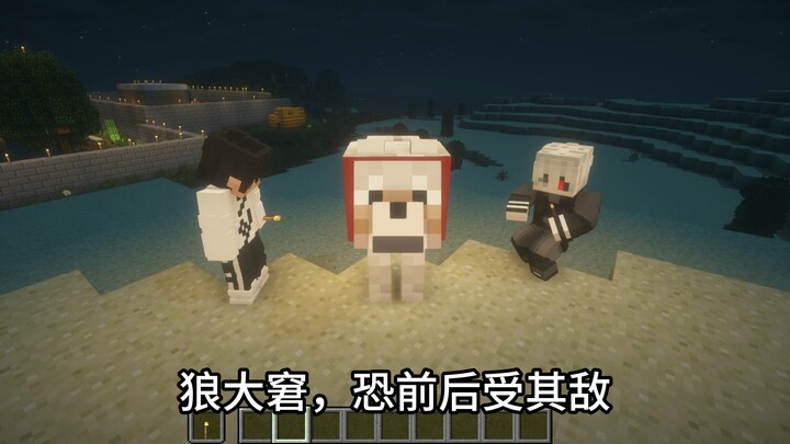 看完这个视频我看谁还会背狼！！！