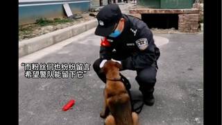 一只小流浪凭一己之力彻底打入警队内部，并成功逆袭成为警犬。#警犬巴万 #警犬 #狗狗故事