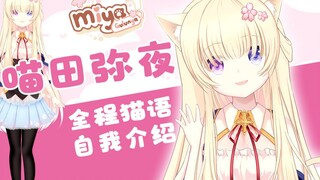 【自我介绍】喵喵喵喵的自我介绍！喵语十级的你好miya>w</