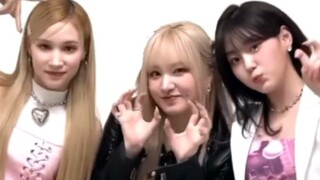 匍芙前进！【IVE+KEP1ER】新歌Baddie挑战！