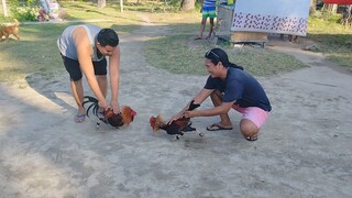 Sparring