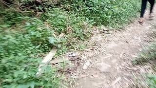 A walk to my grandmas place.