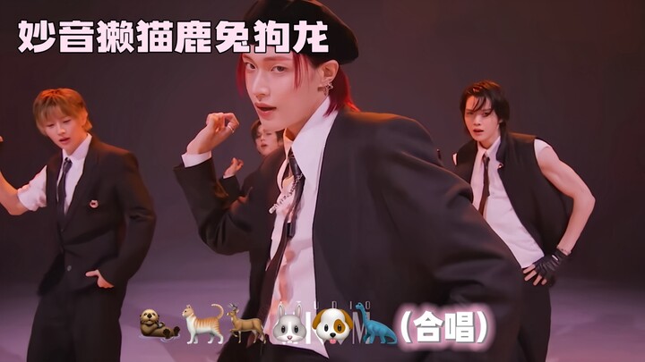 เมื่อไรซ์ใช้สัตว์ของตัวเองร้องเพลง Bag Bad Back