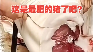 这是最肥的猪了吧？