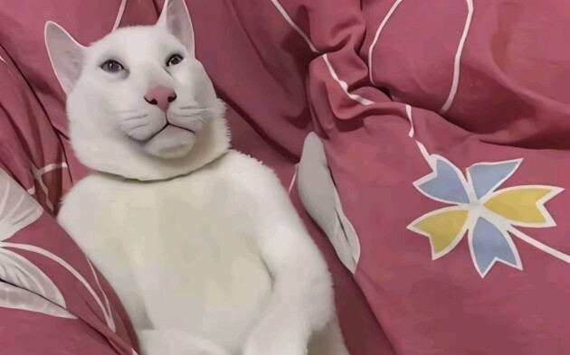 เฉียนเหมียว