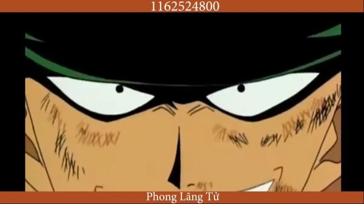 Tân binh -AMV ZORO- THE EVOLUTION  #anime