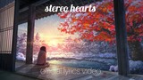 Stereo hearts (official lyrics video)
