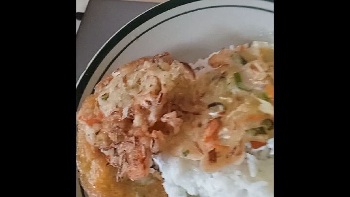 nasi telor dadar bakwan sayur