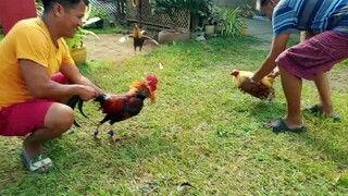 anak ni liit na red