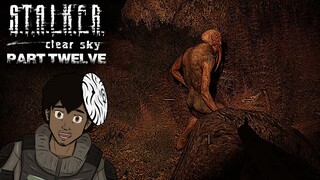 RED FOREST AT NIGHT | S.T.A.L.K.E.R. Clear Sky | PART 12