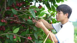 วันนี้คุณพ่อได้คิดค้นวิธีย่างปลาแบบใหม่! "ปลาย่างไม้ Wax Apple"
