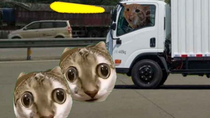 เมื่อคุณลากผึ้งผ่านด่านเก็บค่าผ่านทาง