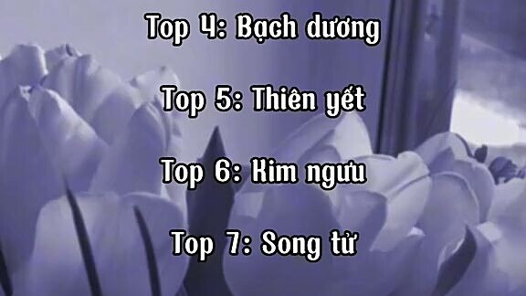 Các cung hoàng đạo