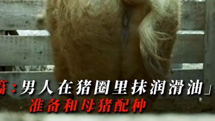 最逆天的饭量