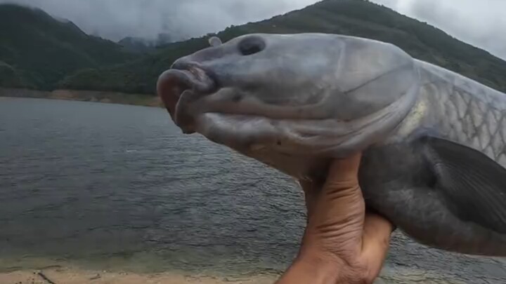 Momen paling berkesan seorang pemancing!