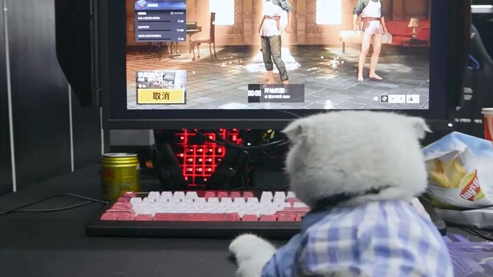 [Kepala Besi A Biao] Bu, dengarkan alasanku!