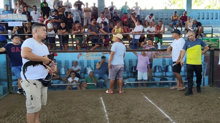 MARCH 29, 2026 2 COCK ULUTAN AT BAAO COCKPIT ARENA 1ST FIGHT - WIN