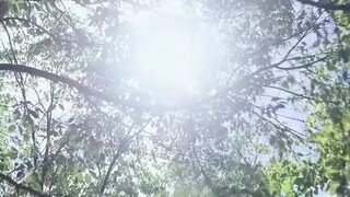 #SharingIsCaring #244 #UploadJustForDiversion #DontAskForTheTitle #ChineseMiniDrama #JustWatch 😉