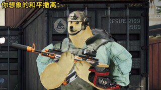 你想象的和平撤离vs实际上的