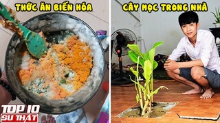 Top 10 Thử Khiến Bạn "TRẦM KẢM" Sau Ngày Giãn Cách | Top 10 Thú Vị