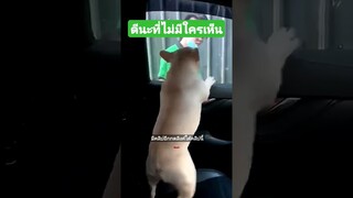 ดีนะที่ไม่มีใครเห็น