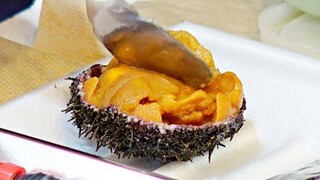 Uni Sea urchin (うに) Japanese Kuromon Market Osaka Japanese street food