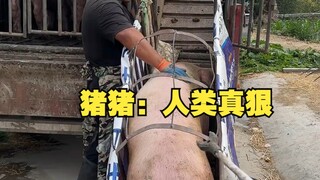 จูจู: มนุษย์ช่างโหดร้ายจริงๆ