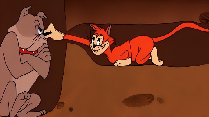 Have you ever seen Spike so clever? Without Tom and Jerry, he is the ceiling of combat power