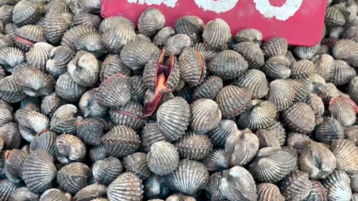 في التتبيل النيء من تشاوشان، هذا هو الأفضل بلا منازع!