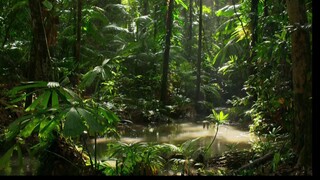 [Tập 4 - Thuyết Minh] Bảy thế giới, một hành tinh - Seven Worlds One Planet S01E04