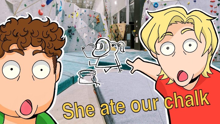 Climbing center story