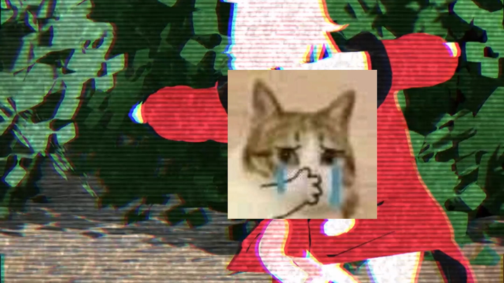 The cat that can't jump to check the goods can only twist and turn~