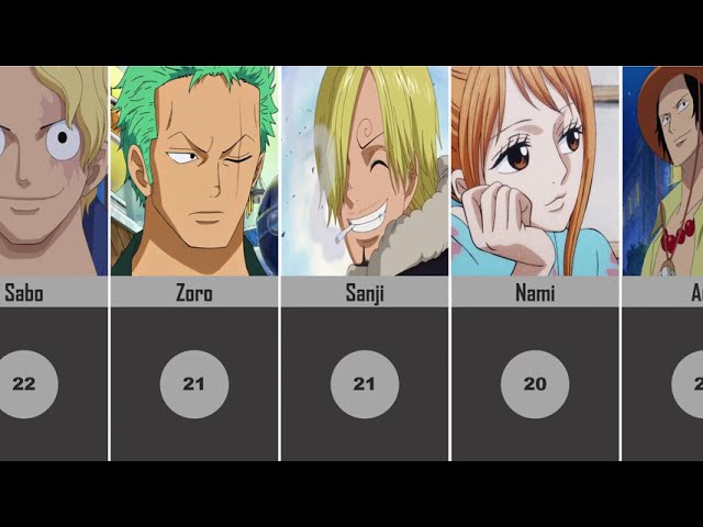 Age of One Piece Characters - BiliBili