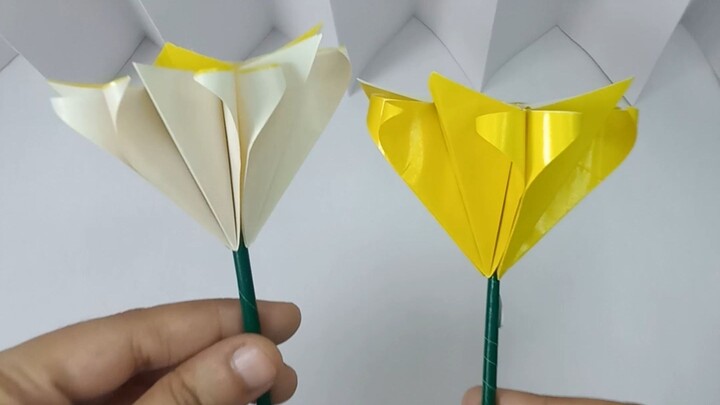A Bloom That Feels Like Home…