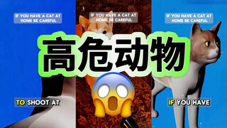 养猫养狗的人一定要小心了‼️‼️‼️
