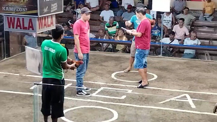 Roundhead x Gilmore cross, buyers update naka blue nagbitaw.