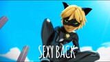 Chat Noir Sexy Back