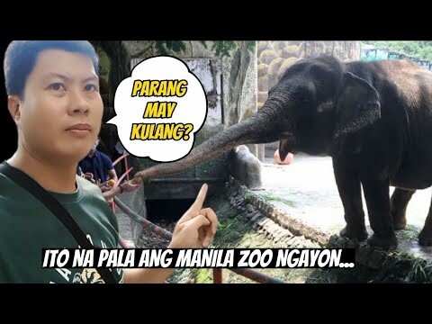 MANILA ZOO SA KASALUKUYAN | ANO ANG MGA PAGBABAGO? | Tenrou21