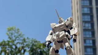 مسابقة تبادل نماذج حية في تشونغتشينغ!